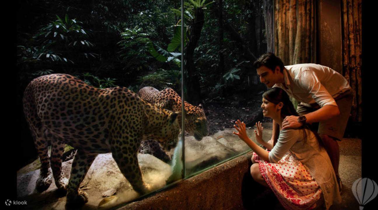 ナイトサファリ 入園チケットの予約（シンガポール） | Klook